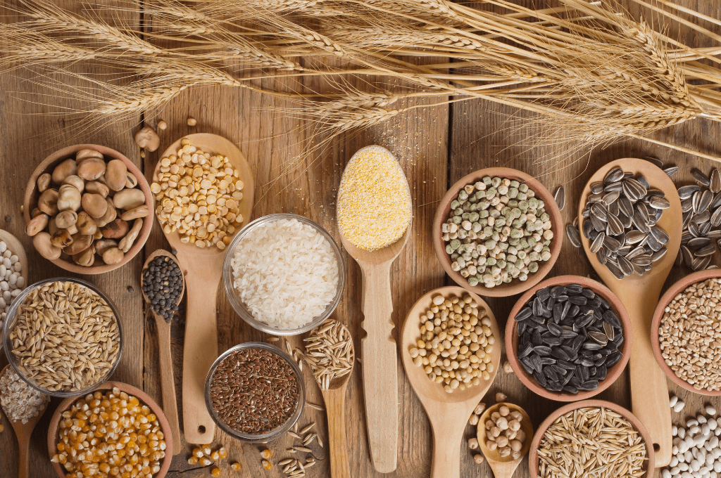 bột ngũ cốc được chế biến từ các hạt ngũ cốc