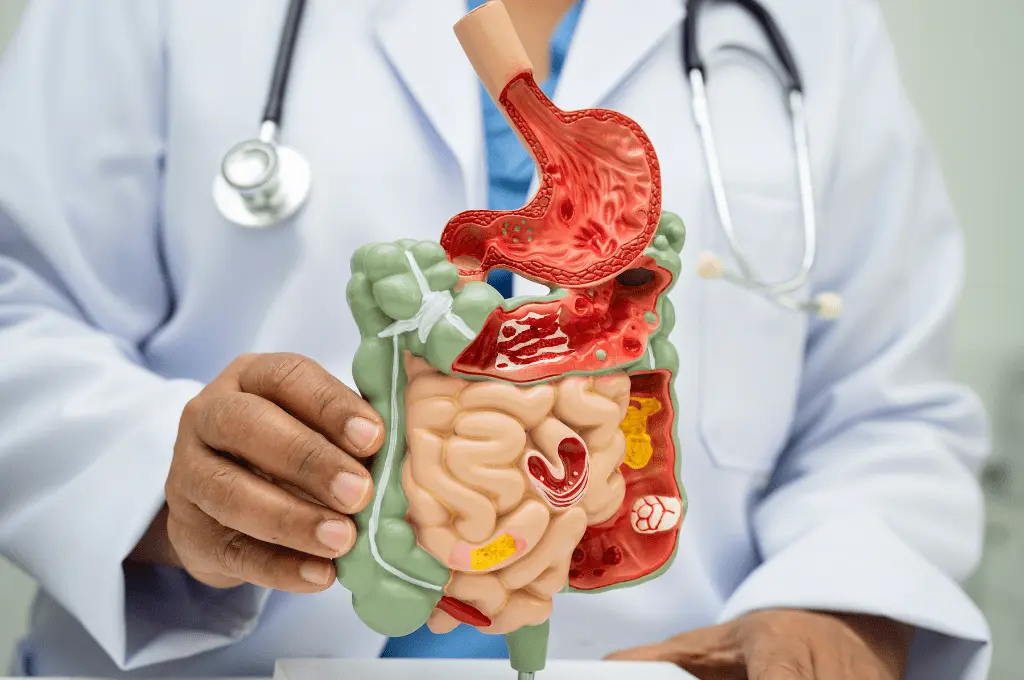 nước gạo rất tốt cho hệ tiêu hóa